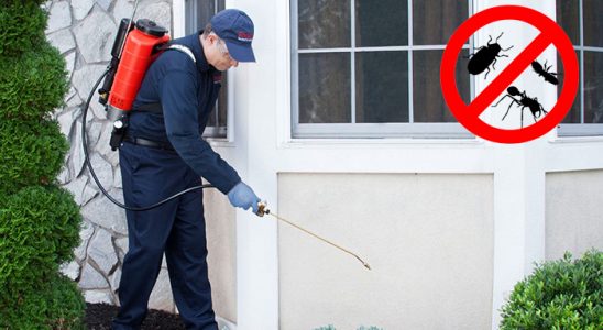 Gümüşhane Gümüşkurt İlaçlama böcek ilaçlama ve haşere kontrolü — ilaclama-tr.com